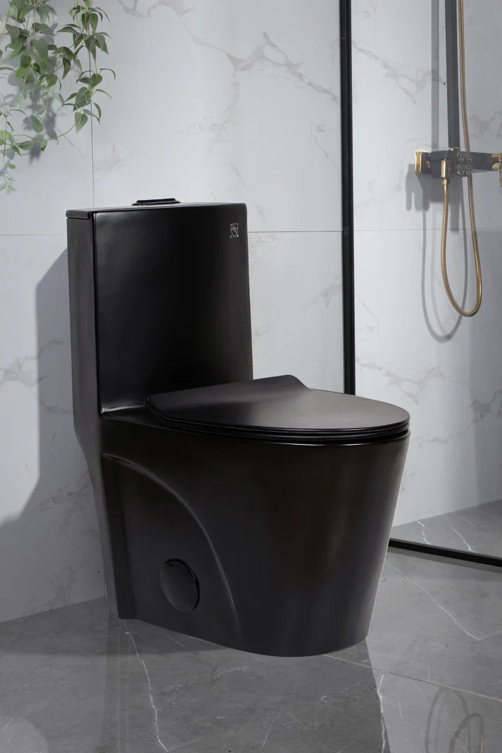 Toilette monopièce noire