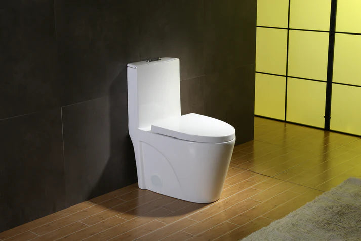Toilette monopièce