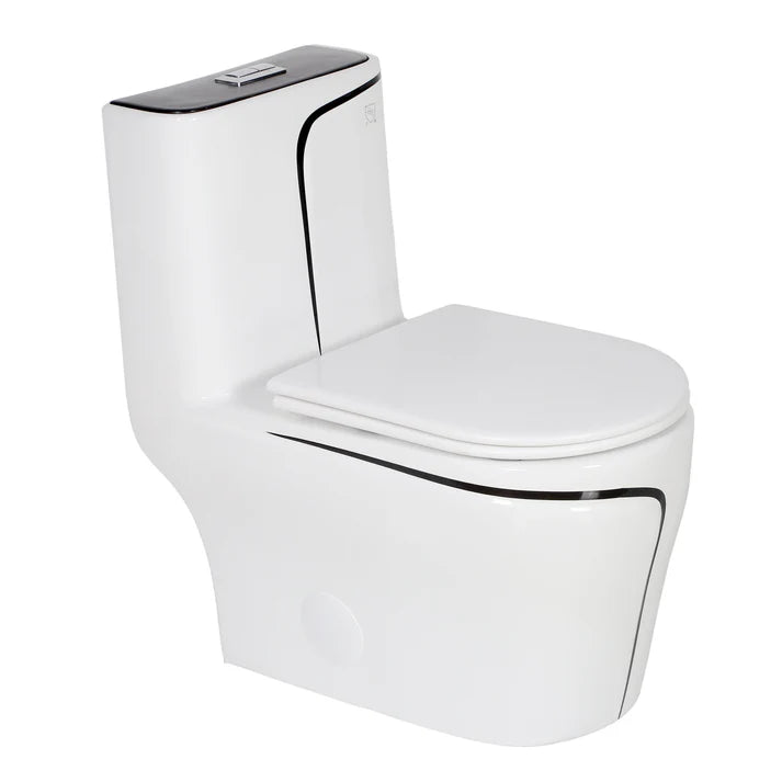 Toilette monopièce blanc et finition noire