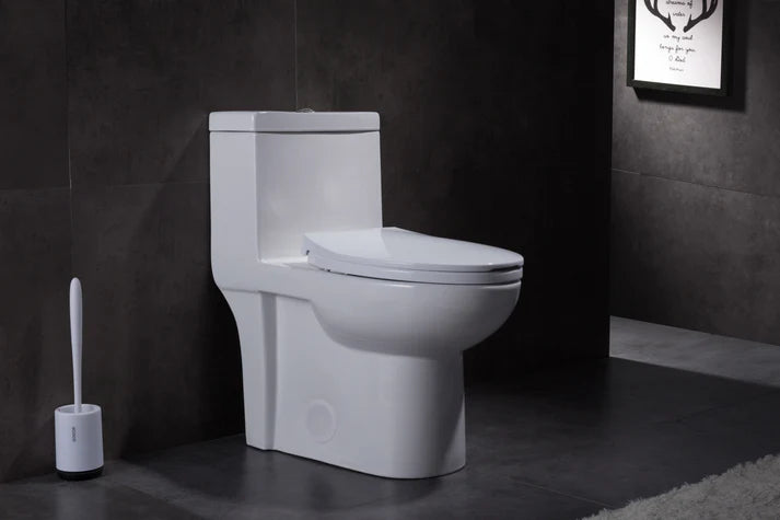 Toilette monopièce