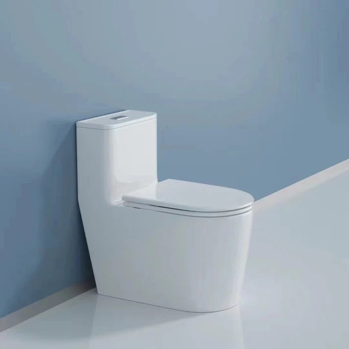 Toilette monopièce