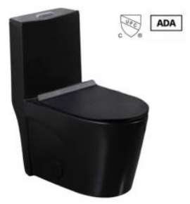 Toilette monopièce noire