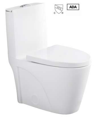 Toilette monopièce