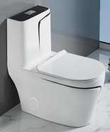 Toilette monopièce blanc et finition noire