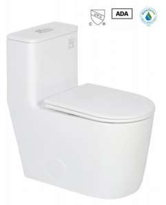 Toilette monopièce