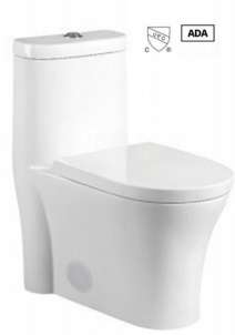 Toilette monopièce